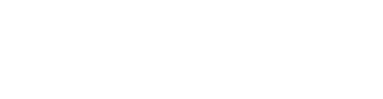 Botari AI Agency